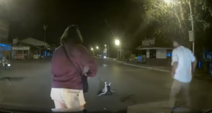 بسبع أرواح .. إنقاذ قطة من قبضة ثعبان قبل التهامها فى الهند