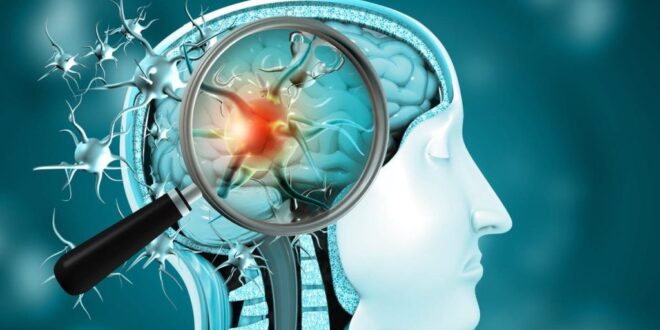 دراسة أمريكية تكشف طريقة اختراق فيروس كورونا للدماغ