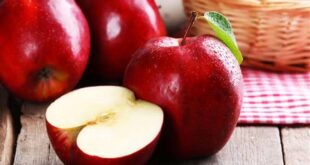 رغم فوائد التفاح المتعددة.. خبيرة تغذية تحذر من تناوله على الريق