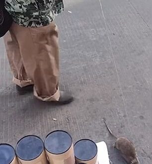 صينى يسير برفقة فأرين مربوطين بأحد الأسواق