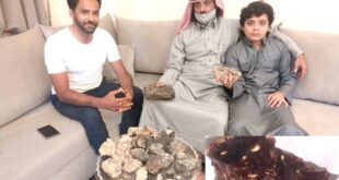 طفل سعودى يعثر على كنز خلال نزهة مع والده على أحد شواطئ تبوك