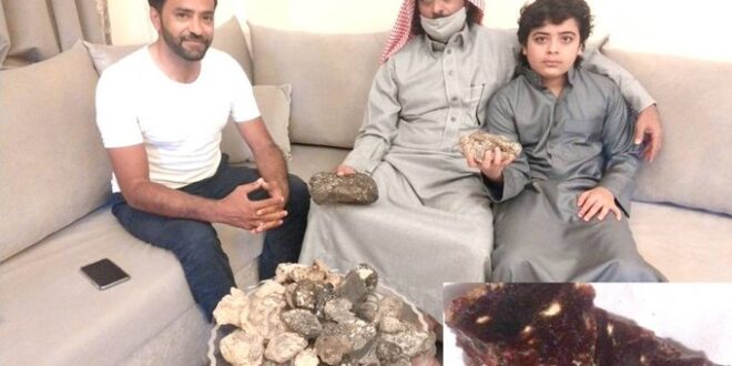 طفل سعودى يعثر على كنز خلال نزهة مع والده على أحد شواطئ تبوك