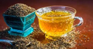 5 أسباب تجعل الشمر مشروبك المفضل بعد تناول الطعام