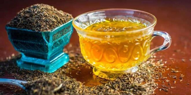 5 أسباب تجعل الشمر مشروبك المفضل بعد تناول الطعام