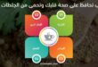 أعشاب تحافظ على صحة قلبك وتحمى من الجلطات القلبية