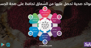 6 فوائد صحية تحصل عليها من السُماق تحافظ على صحة الجسم