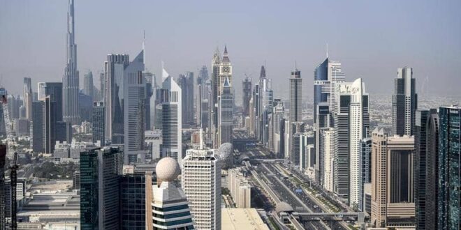 الإمارات.. الأولى إقليميا بتقرير "المرأة وأنشطة الأعمال"