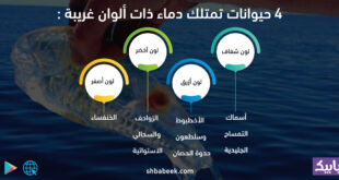 4 حيوانات تمتلك دماء ذات ألوان غريبة