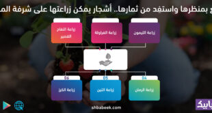 تمتّع بمنظرها واستفِد من ثمارها.. أشجار يمكن زراعتها على شرفة المنزل