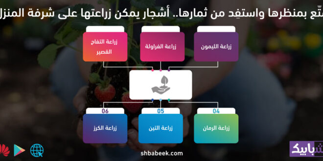 تمتّع بمنظرها واستفِد من ثمارها.. أشجار يمكن زراعتها على شرفة المنزل