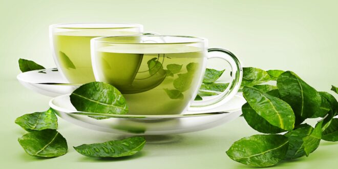 أضرار شرب الشاى الأخضر على معدة فارغة منها الغثيان والإمساك