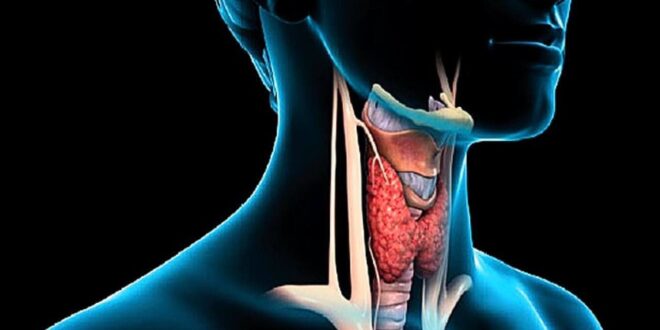 تحليل هرمون TSH يكشف عن اضطرابات الغده الدرقية