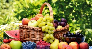 ماذا حدث لياباني لم يأكل سوى الفاكهة لمدة 8 سنوات؟