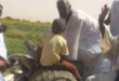 مزارع سودانى يصطاد تمساح ضخم طوله 5 أمتار
