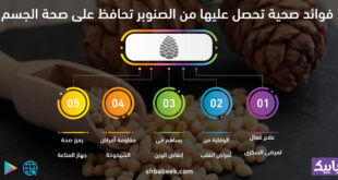 لمعرفة أخر الاخبار من خلال تطبيق شبابيك المتوفر على جوجل بلاي وهواوي