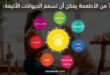 7 من الأطعمة يمكن أن تسمم الحيوانات الأليفة