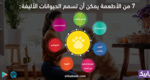 7 من الأطعمة يمكن أن تسمم الحيوانات الأليفة