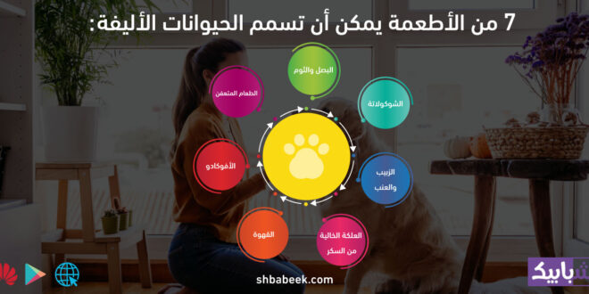 7 من الأطعمة يمكن أن تسمم الحيوانات الأليفة
