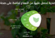 5 فوائد صحية تحصل عليها من النعناع تحافظ على صحة الجسم
