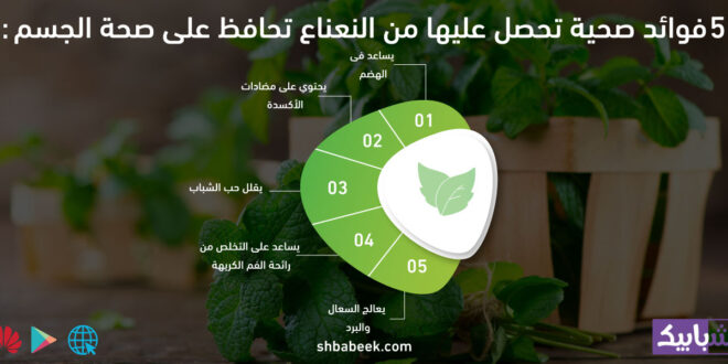 5 فوائد صحية تحصل عليها من النعناع تحافظ على صحة الجسم
