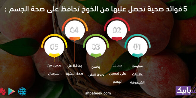 5 فوائد صحية تحصل عليها من الخوخ تحافظ على صحة الجسم