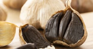 رائحته ليست كريهة، وفوائده أكثر من الأبيض الطازج.. ماذا تعرف عن الثوم الأسود؟
