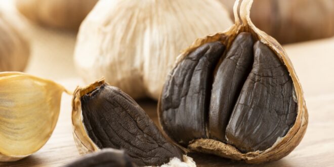 رائحته ليست كريهة، وفوائده أكثر من الأبيض الطازج.. ماذا تعرف عن الثوم الأسود؟