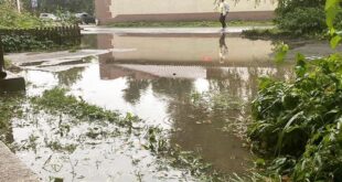 بركة مياة عمرها ربع قرن تجذب أكثر من 14 ألف متابع عبر حساب على انستجرام