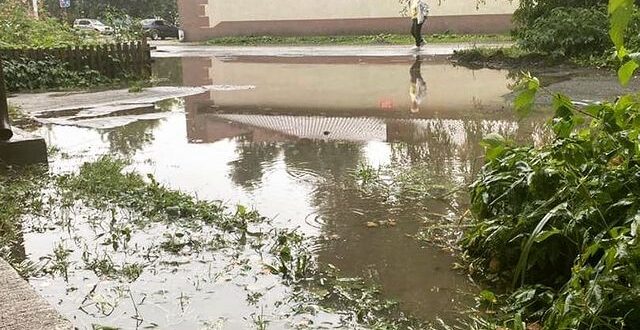 بركة مياة عمرها ربع قرن تجذب أكثر من 14 ألف متابع عبر حساب على انستجرام