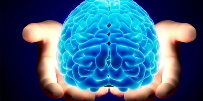 تقوية الذاكرة بطرق طبيعية،، 10 طرق لتتمتع بتركيز أفضل وذاكرة أدق