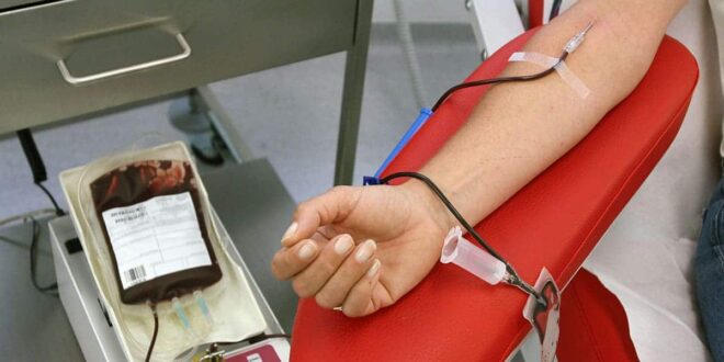 كم مرة يمكنك التبرع بالدم والصفائح الدموية والبلازما على مدار العام؟