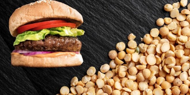 ما هي اللحوم النباتية؟ وكيف يتم تحويل النبات إلى أنسجة لحمية؟