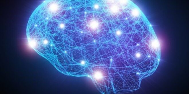 ماذا يحدث لخلايا الدماغ عند الإصابة بـ ألزهايمر؟