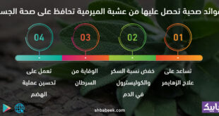 4 فوائد صحية تحصل عليها من عشبة الميرمية تحافظ علة صحة الجسم