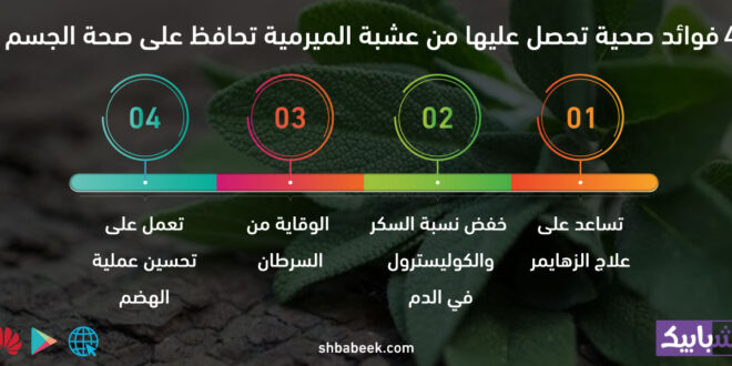 4 فوائد صحية تحصل عليها من عشبة الميرمية تحافظ علة صحة الجسم