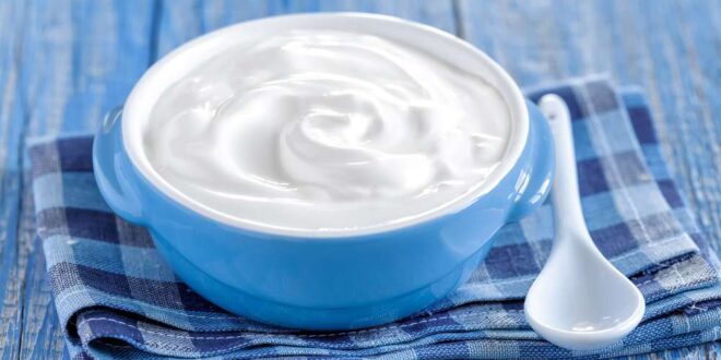 فوائد الزبادي.. 5 أسباب تدفعك للمواظبة على تناوله بعد رمضان