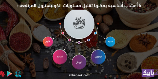 5 أعشاب أساسية يمكنها تقليل مستويات الكوليسترول المرتفعة