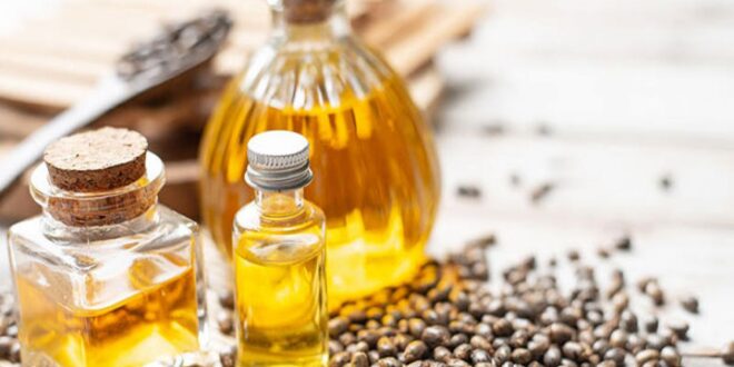 فوائد زيت الخروع.. يعالج تساقط الشعر ويرطب البشرة ويخفف آلام المفاصل