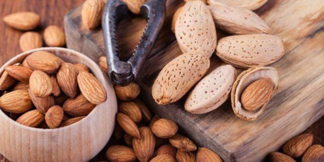للنباتيين.. 5 أطعمة تدعم جسمك بالبروتين أبرزها الشوفان واللوز