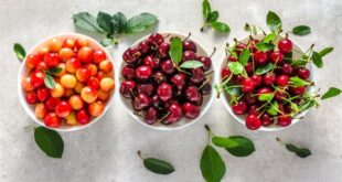 3 أنواع للكرز.. أيهم أكثر فائدة لصحتك؟