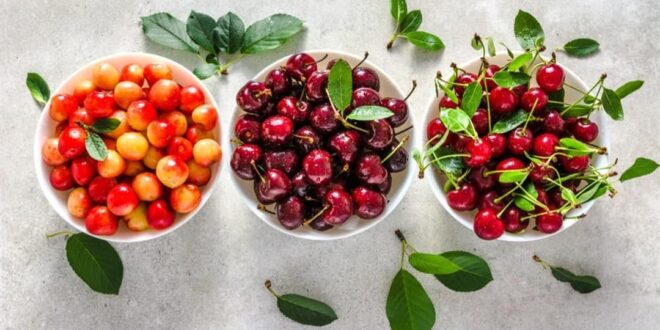 3 أنواع للكرز.. أيهم أكثر فائدة لصحتك؟