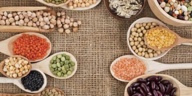 4 بدائل من البروتين تنافس اللحوم فى الفائدة.. خفيفة على المعدة ومفيدة لصحتك