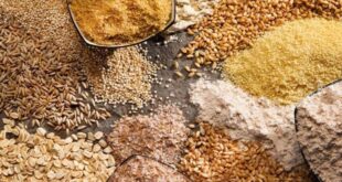 الوجبات المحتوية على الحبوب الكاملة تحسن ضغط الدم والسكر وتخفض دهون البطن