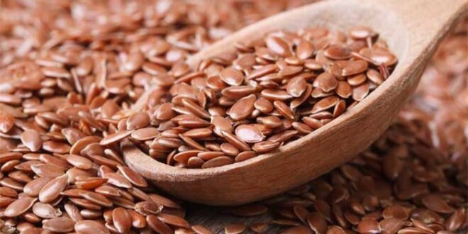 5 فوائد صحية لبذور الكتان أبرزها علاج الإمساك