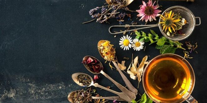 8 أعشاب شائعة في الطب البديل.. إليك أبرز استخداماتها