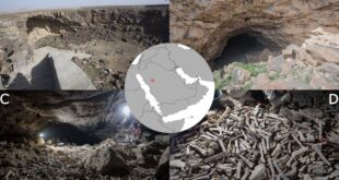 العثور على عدد هائل من العظام في “كهف الجوف” بالسعودية.. مئات الآلاف من بقايا البشر والحيوانات