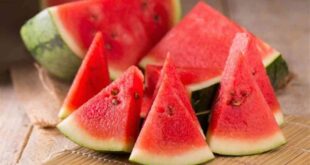 في اليوم العالمي للبطيخ.. طبيبة توضح ضوابط تناوله