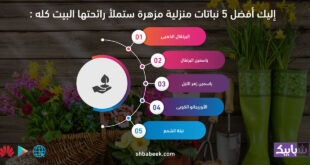 إليك أفضل 5 نباتات منزلية مزهرة ستملأ رائحتها البيت كله