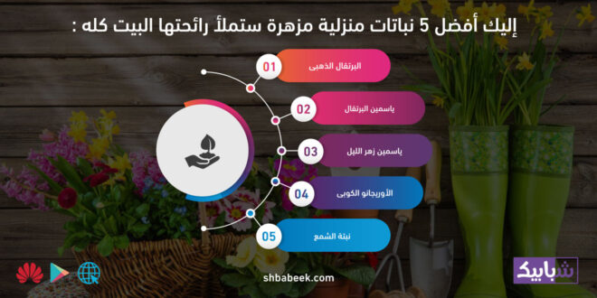 إليك أفضل 5 نباتات منزلية مزهرة ستملأ رائحتها البيت كله