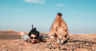 أغرب أنواع السياحة في العالم التي لم تسمع بها من قبل!
